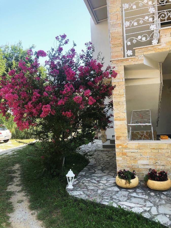 Vila Jovana Sutomore Extérieur photo